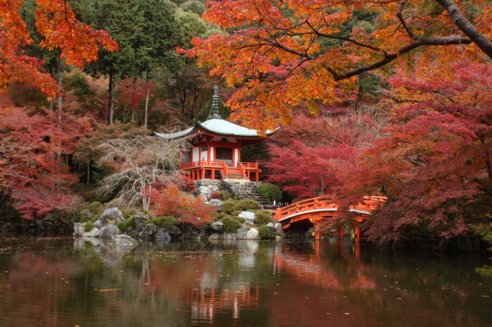 Top 10 Places to see Autumn Leaves | Top 10